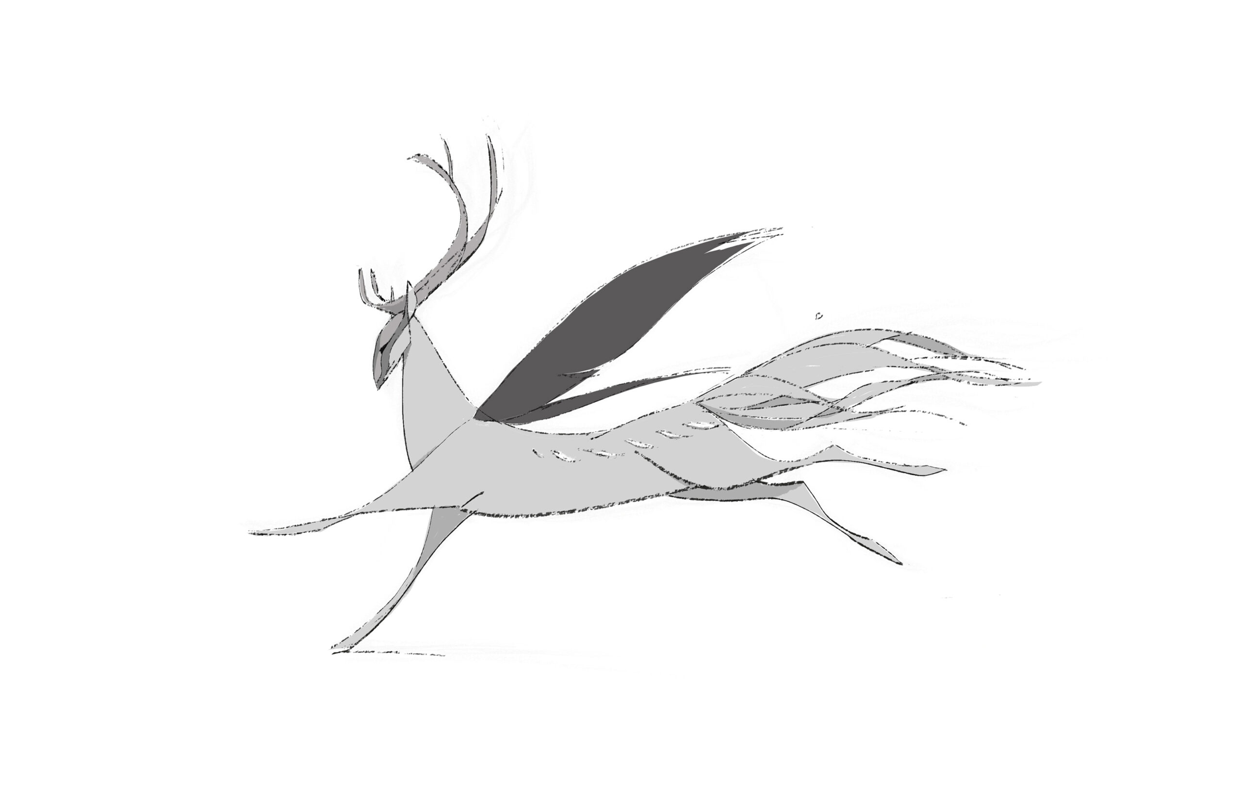 deer05