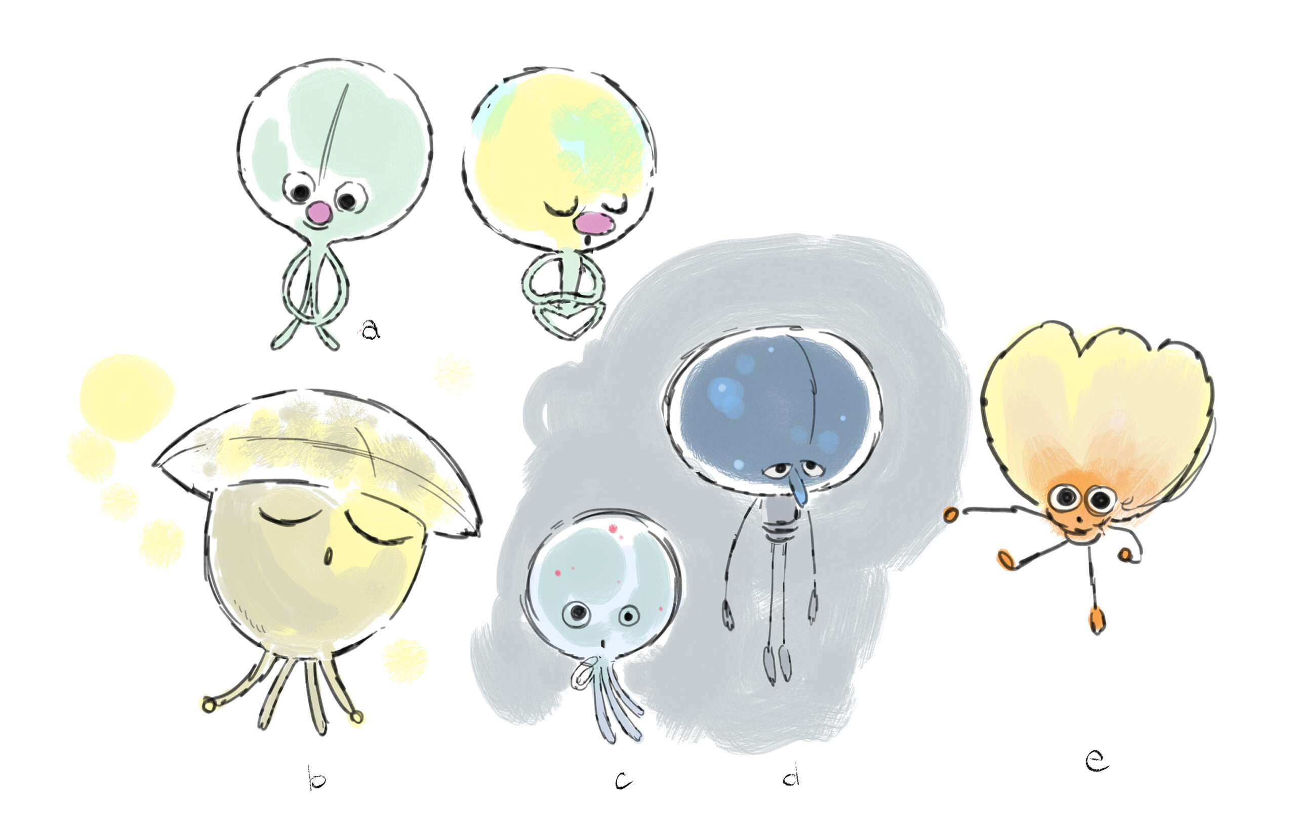 2023.01.03_MOMO_Concepts01_AH