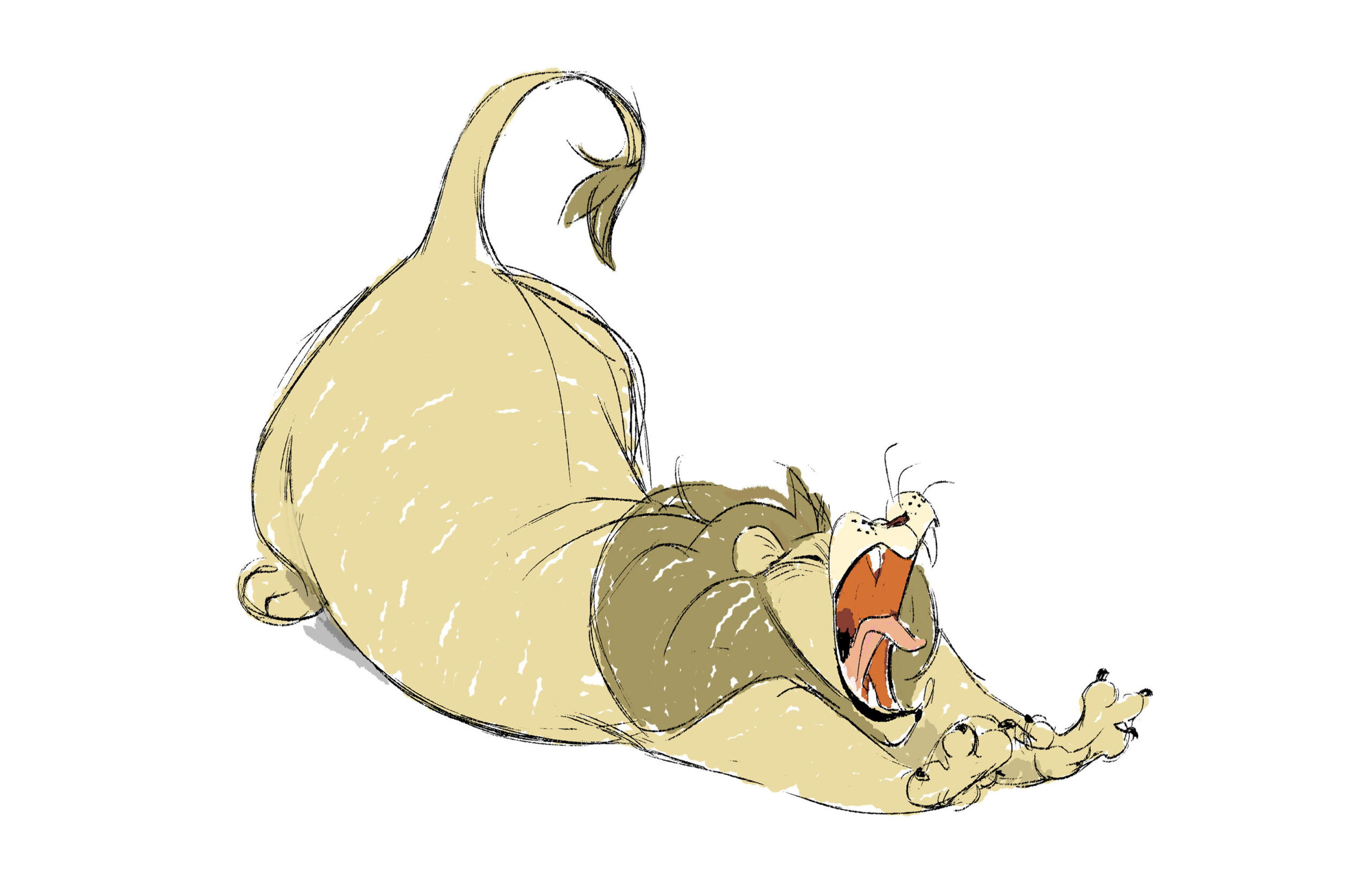lion1-1