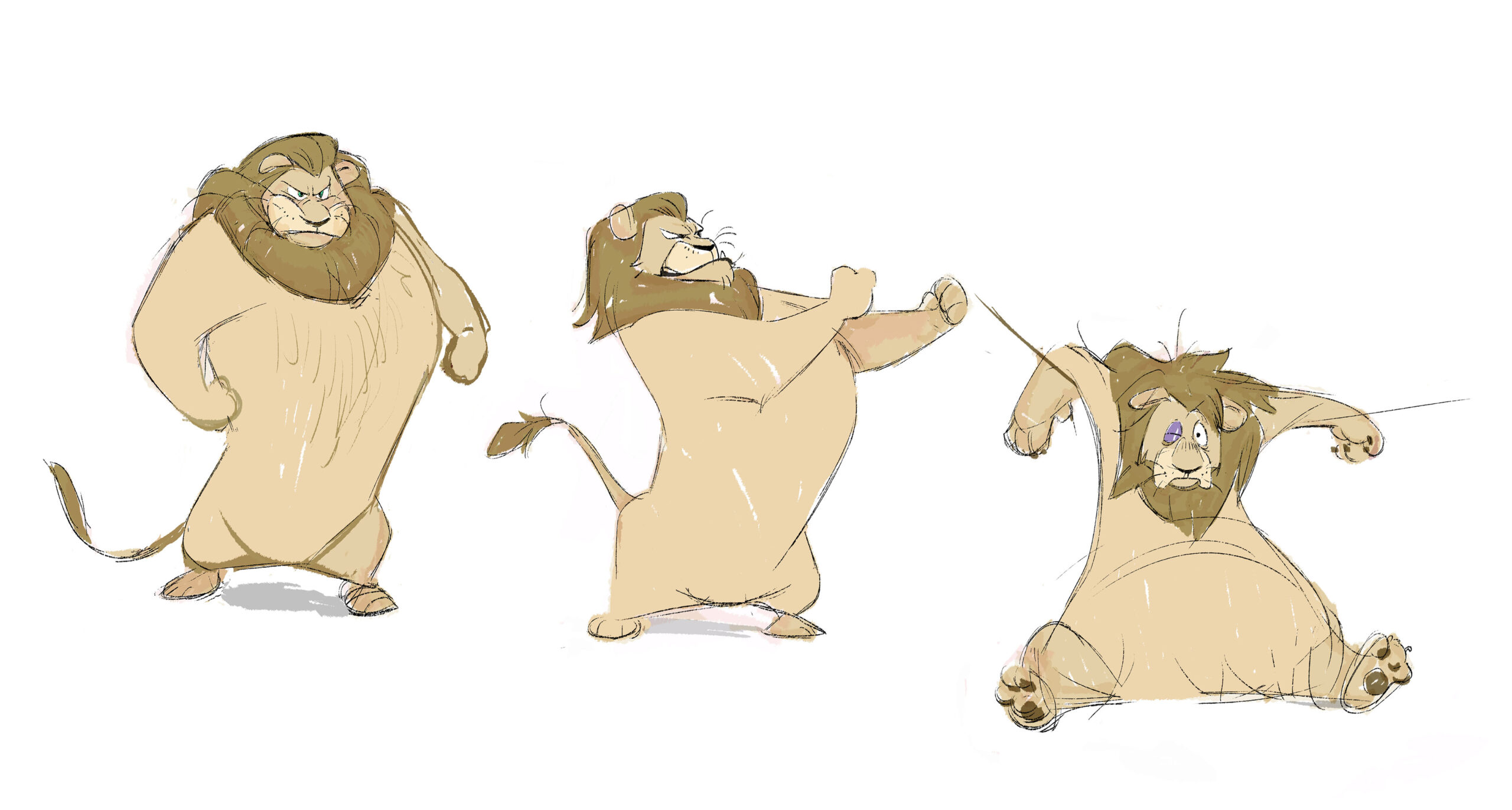 lion4